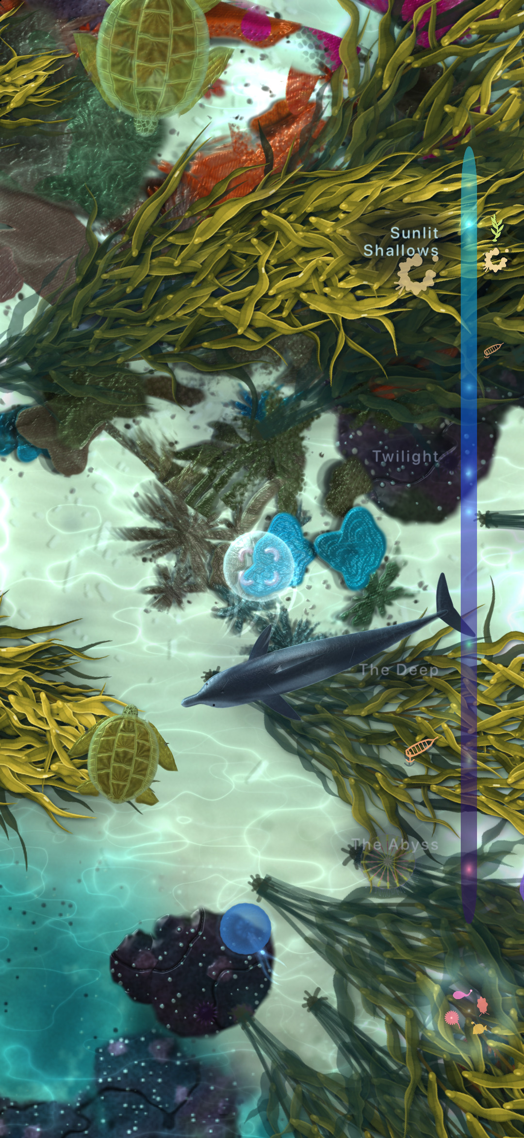 The Jellyfish Journey, the kelp forest