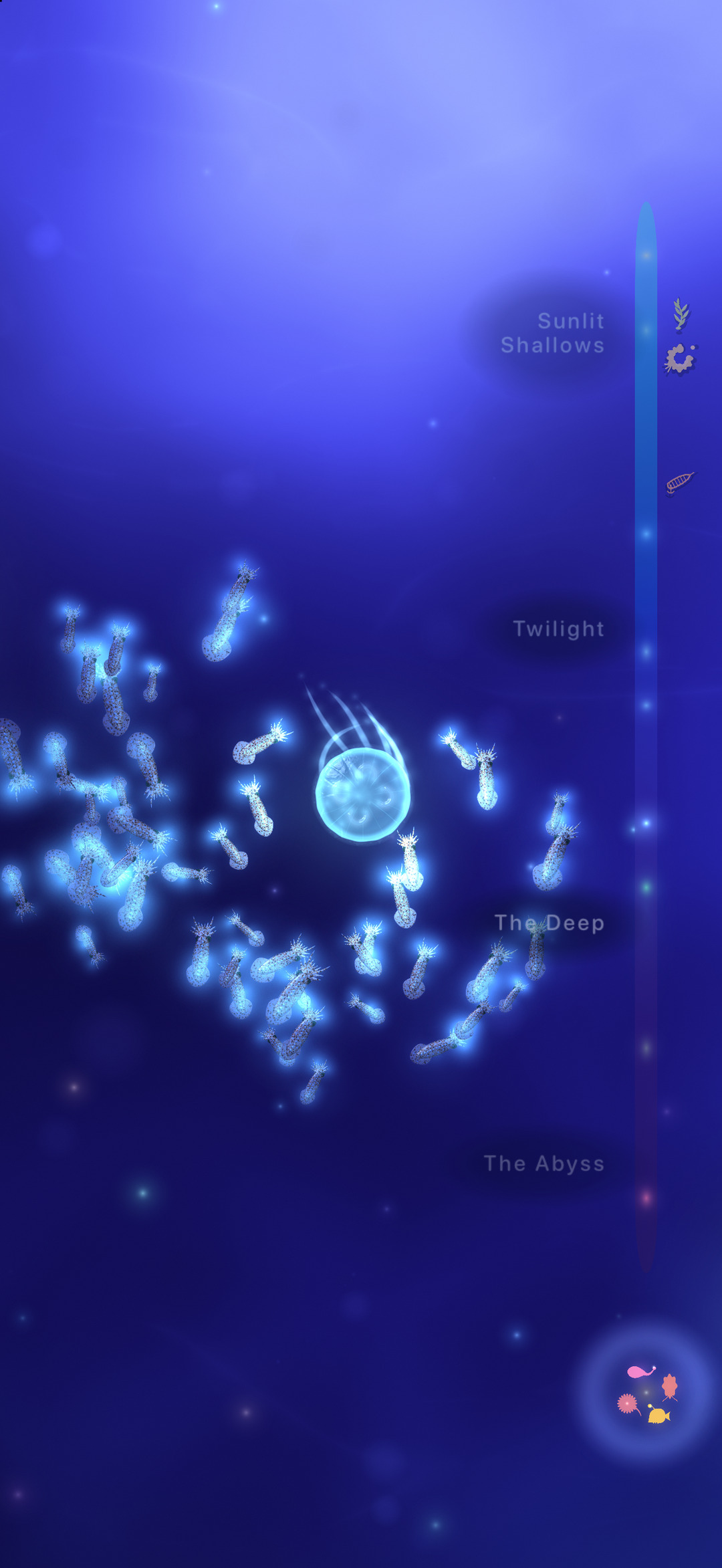 The Jellyfish Journey, glowing jellies in the deep